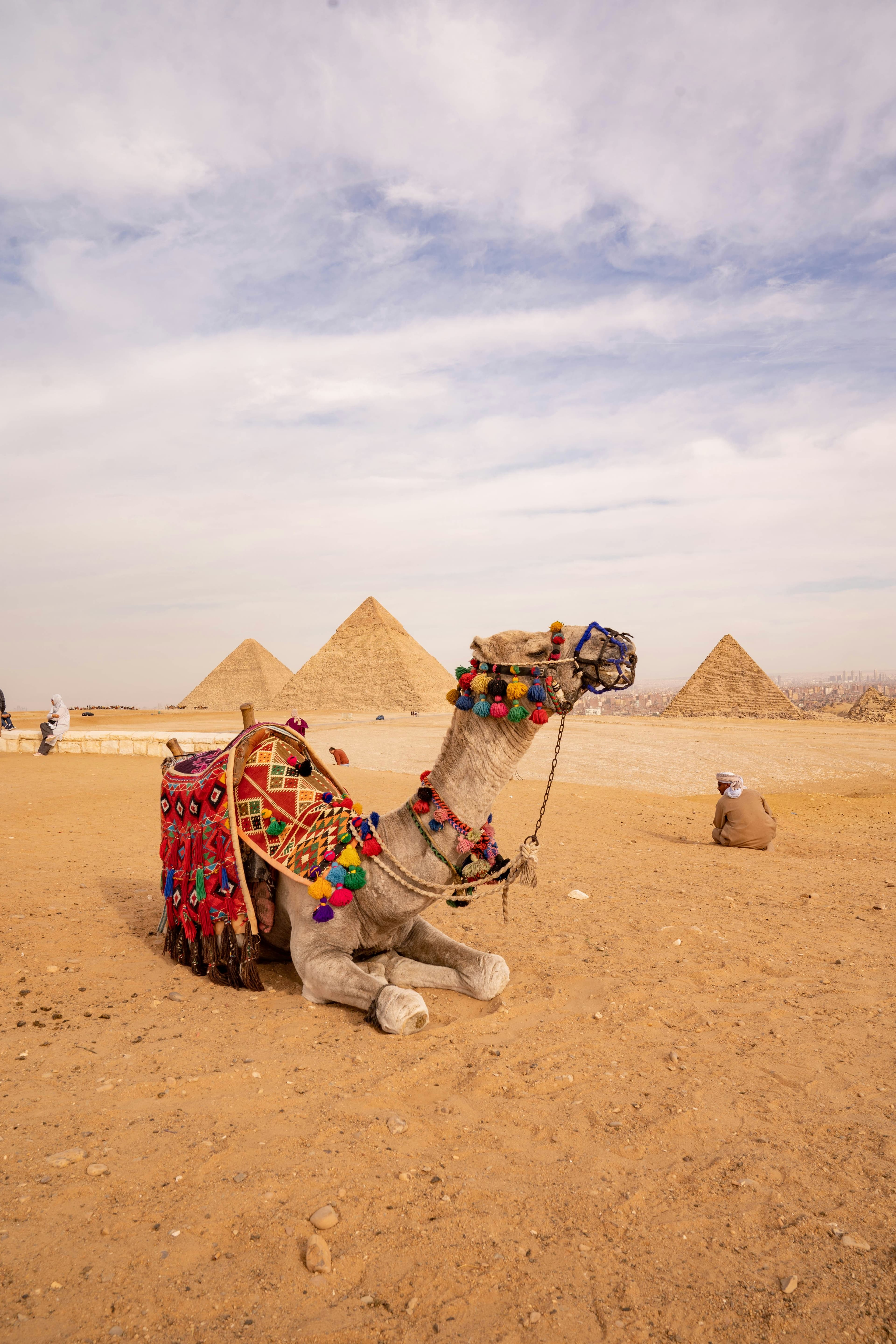Cairo